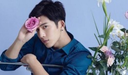 圈内爆料娱乐圈井柏然,娱乐圈爆料背后的真相与争议